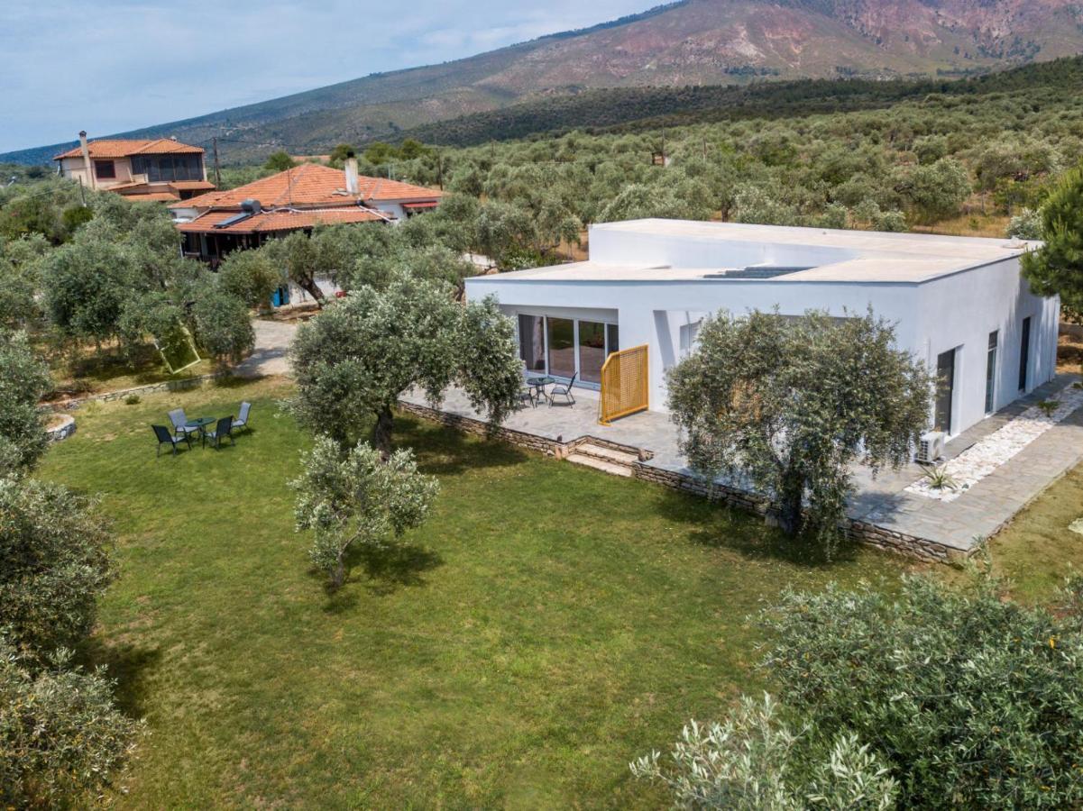 Avgoustidis Apartments Limenaria  Buitenkant foto