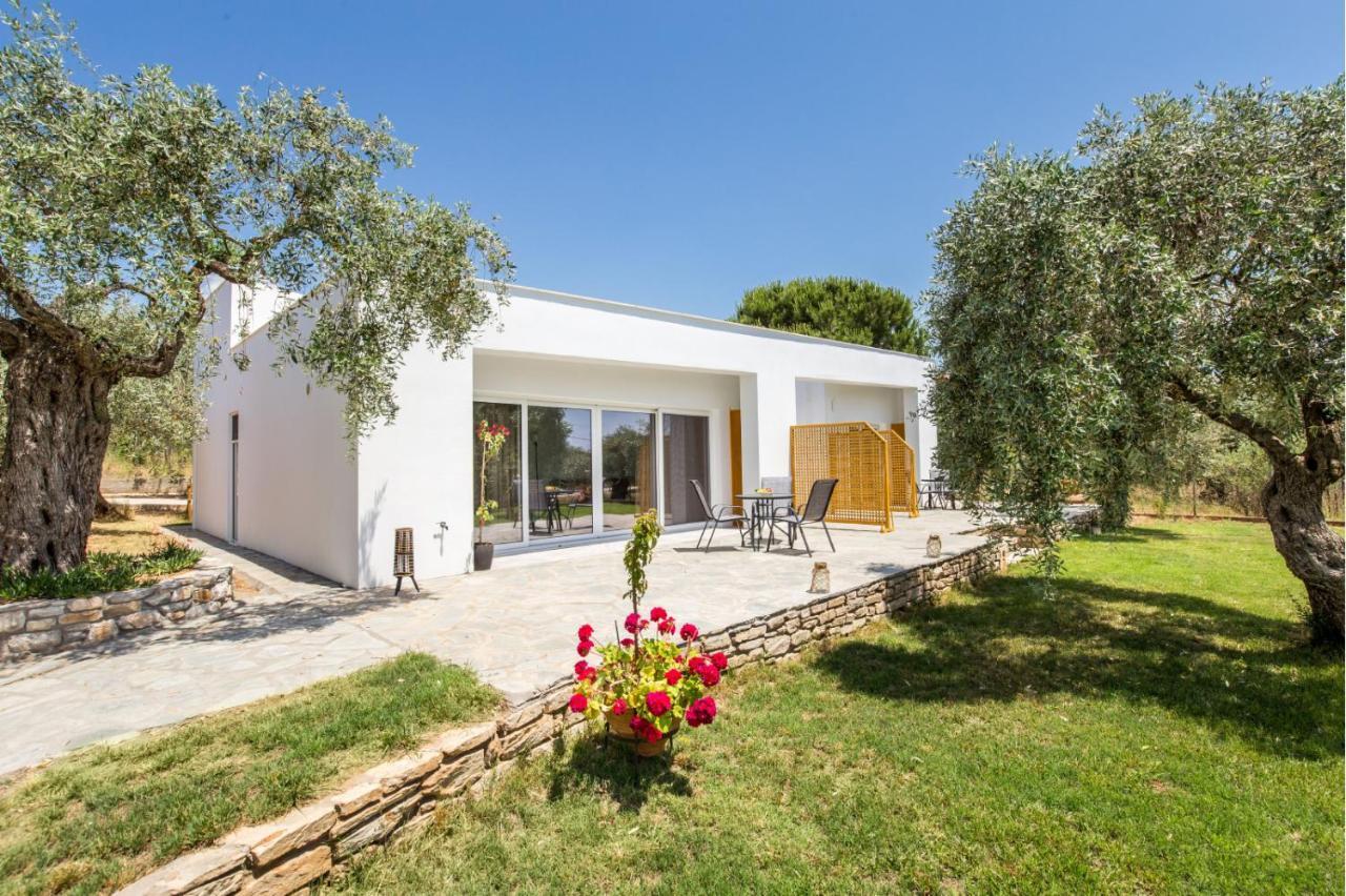 Avgoustidis Apartments Limenaria  Buitenkant foto